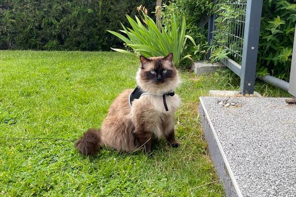 Onyx le 13/05/2025